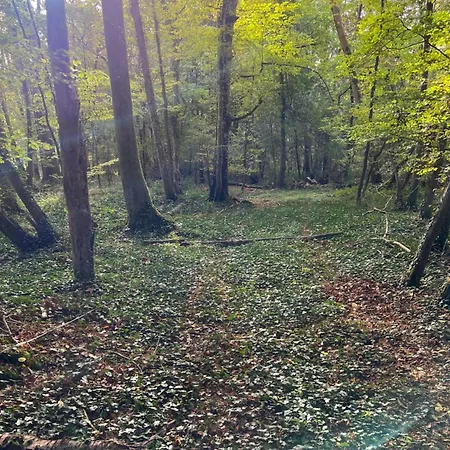 Hébergement de vacances La Donaclaudre - De Groupe En Pleine Nature, Ideal Pour Tous Vos Sejours ! 63 Couchages - 2 Grandes Salles - Salle De Jeux - Cuisine Professionnelle - Accessible Facilement - Localisation Attractive -proche Paris &